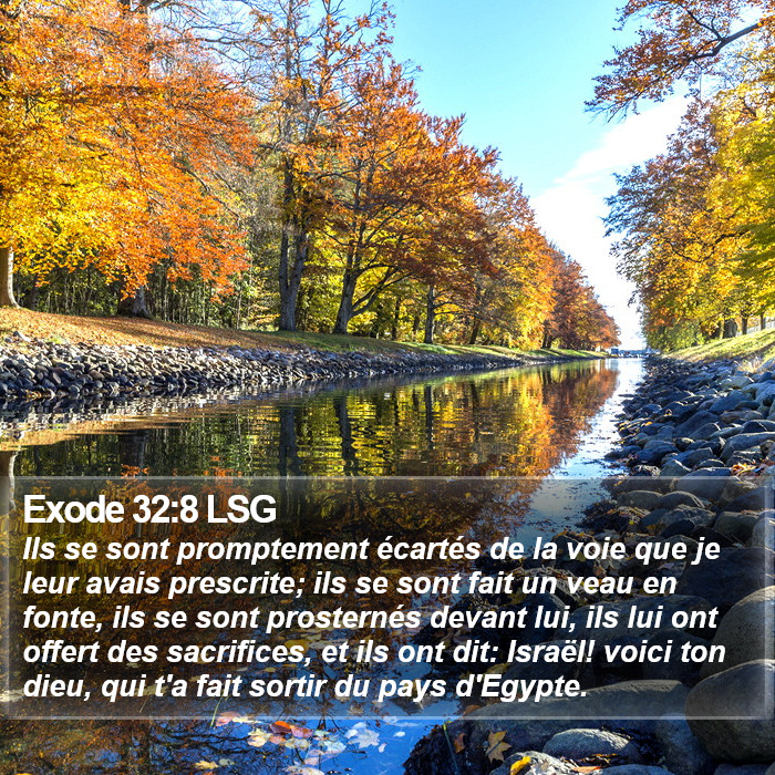 Exode 32:8 LSG Bible Study