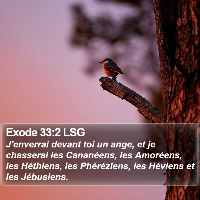 Exode 33:2 LSG Bible Study