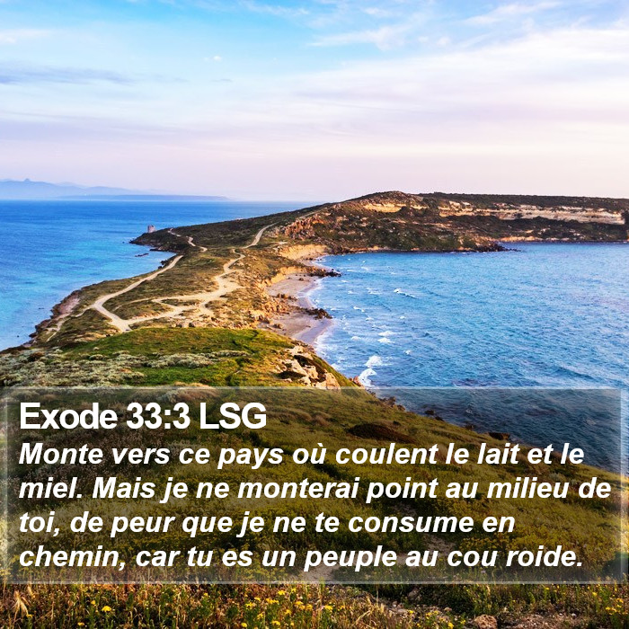 Exode 33:3 LSG Bible Study