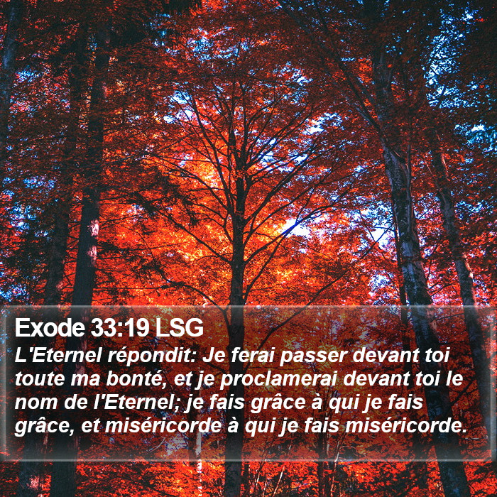 Exode 33:19 LSG Bible Study