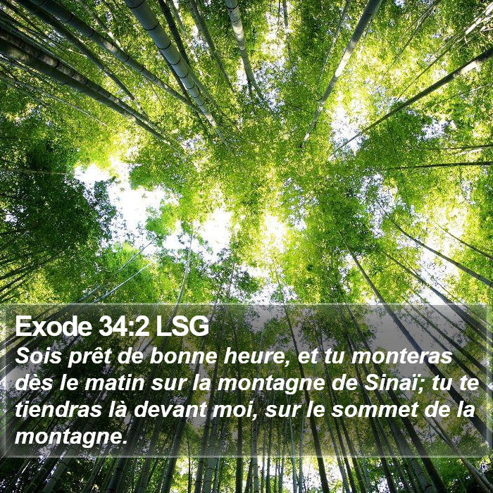 Exode 34:2 LSG Bible Study
