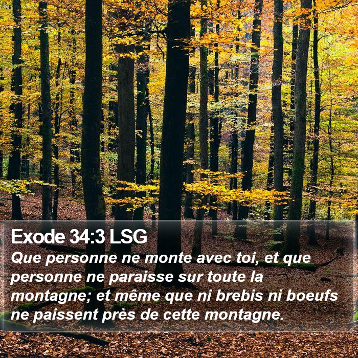 Exode 34:3 LSG Bible Study