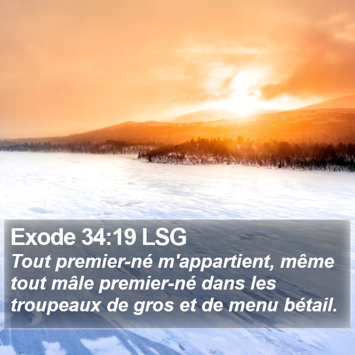 Exode 34:19 LSG Bible Study