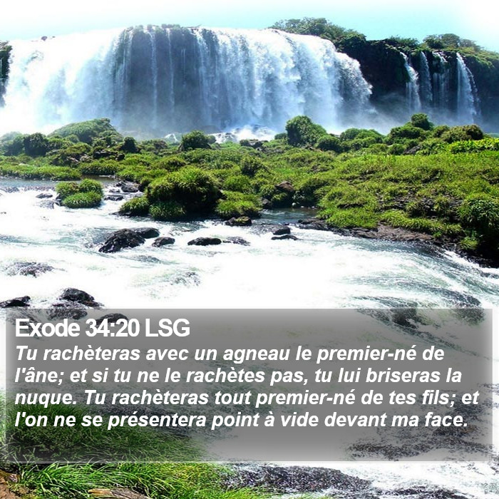 Exode 34:20 LSG Bible Study
