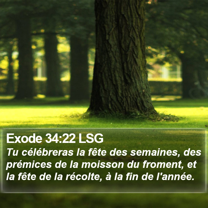 Exode 34:22 LSG Bible Study