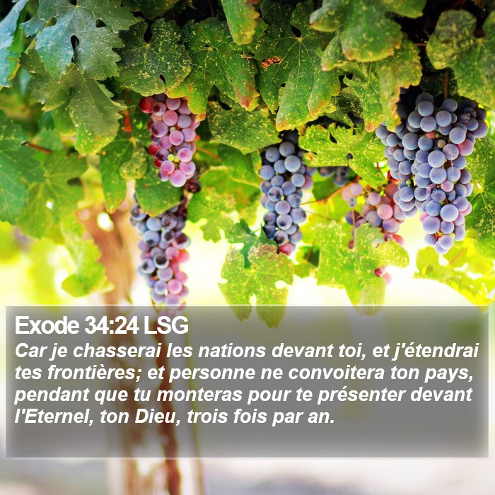 Exode 34:24 LSG Bible Study
