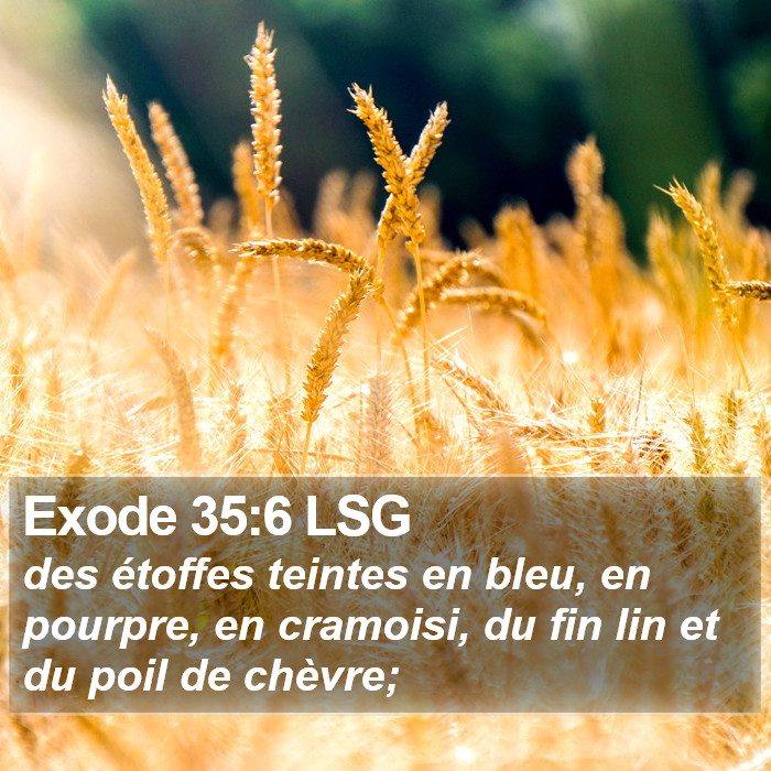 Exode 35:6 LSG Bible Study