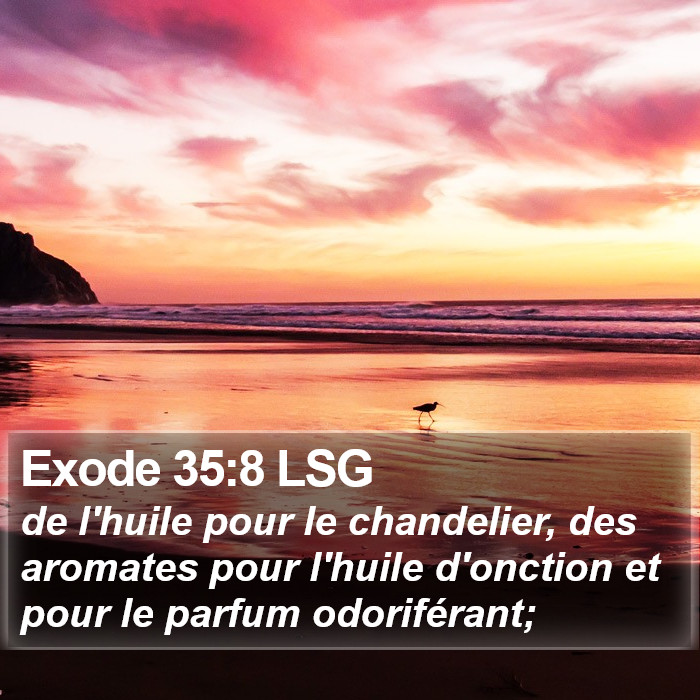Exode 35:8 LSG Bible Study