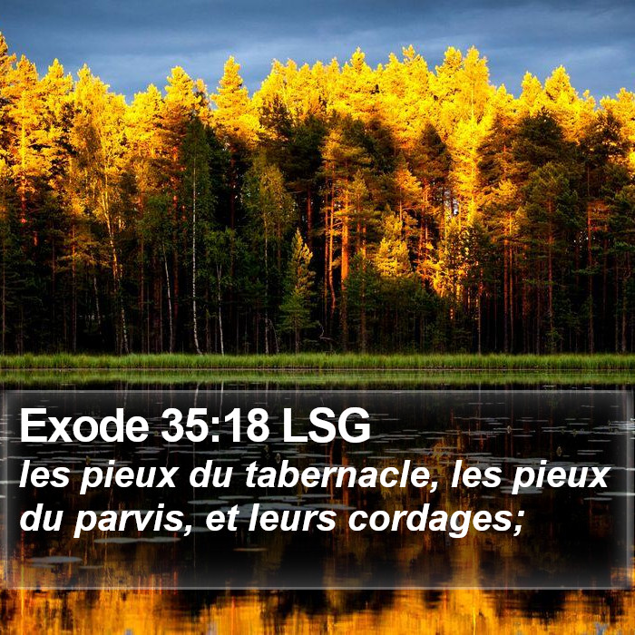 Exode 35:18 LSG Bible Study