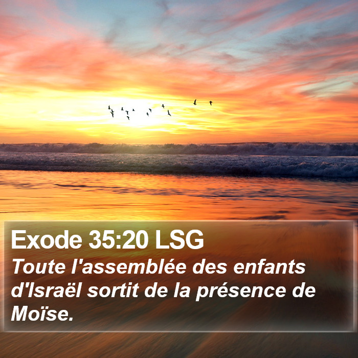 Exode 35:20 LSG Bible Study