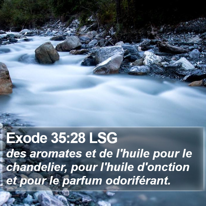 Exode 35:28 LSG Bible Study