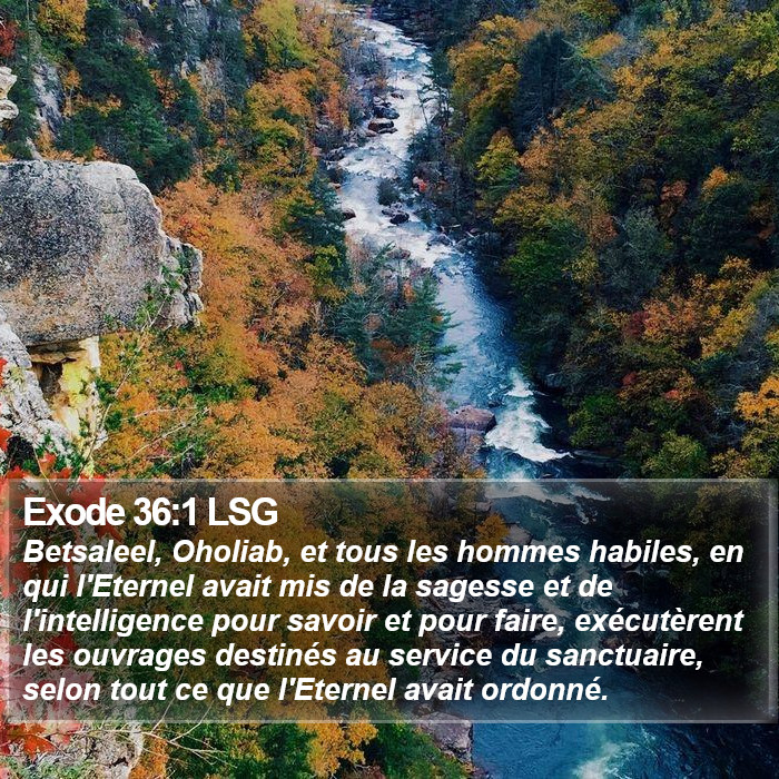 Exode 36:1 LSG Bible Study