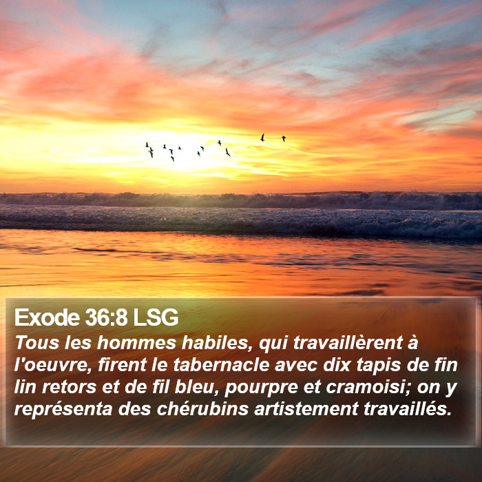 Exode 36:8 LSG Bible Study