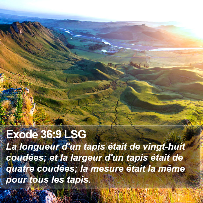 Exode 36:9 LSG Bible Study