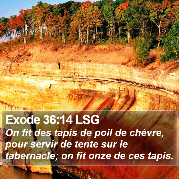 Exode 36:14 LSG Bible Study