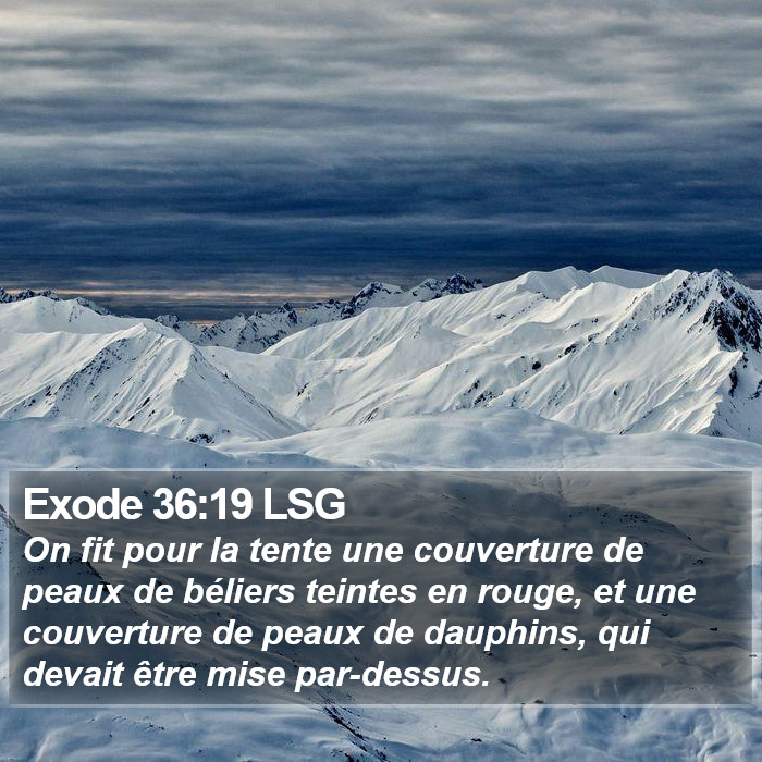 Exode 36:19 LSG Bible Study