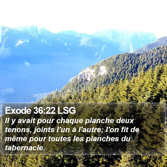 Exode 36:22 LSG Bible Study
