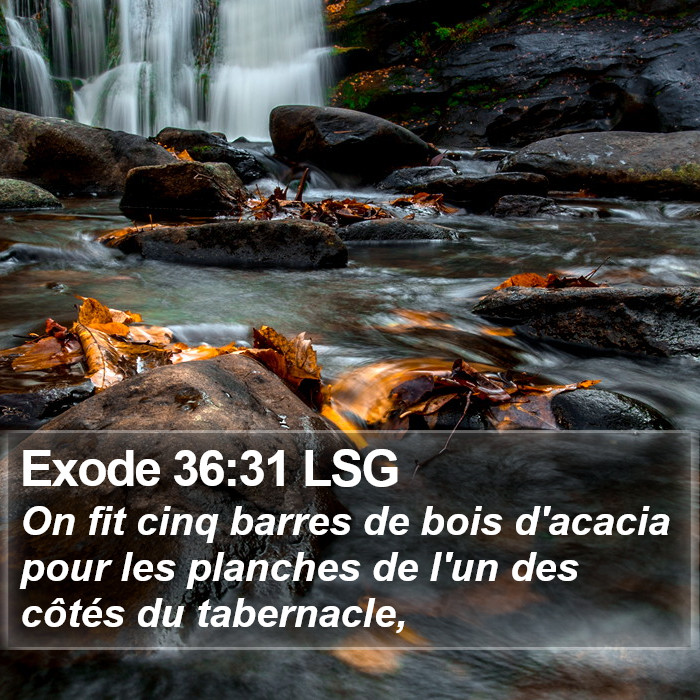 Exode 36:31 LSG Bible Study