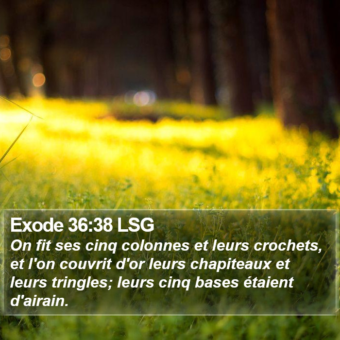 Exode 36:38 LSG Bible Study
