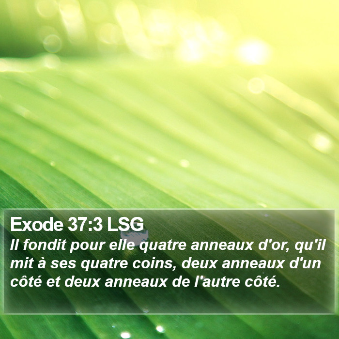 Exode 37:3 LSG Bible Study