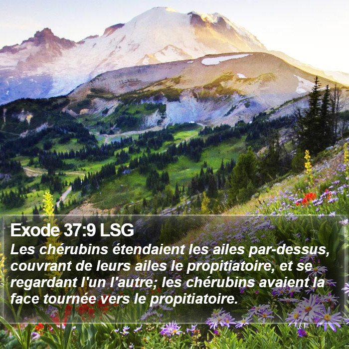 Exode 37:9 LSG Bible Study