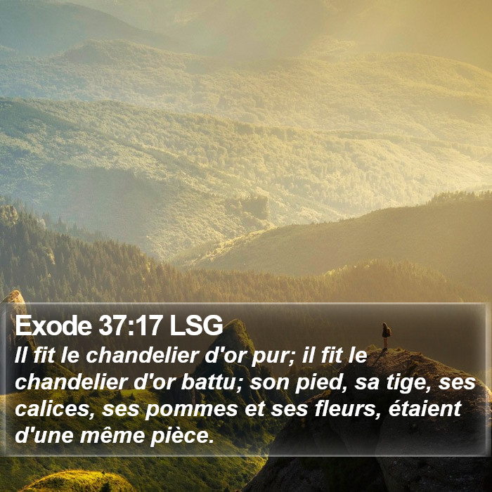 Exode 37:17 LSG Bible Study