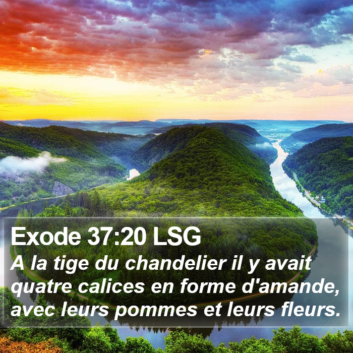 Exode 37:20 LSG Bible Study