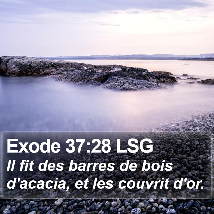 Exode 37:28 LSG Bible Study