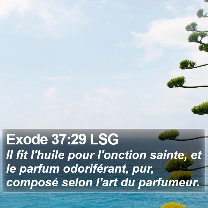 Exode 37:29 LSG Bible Study