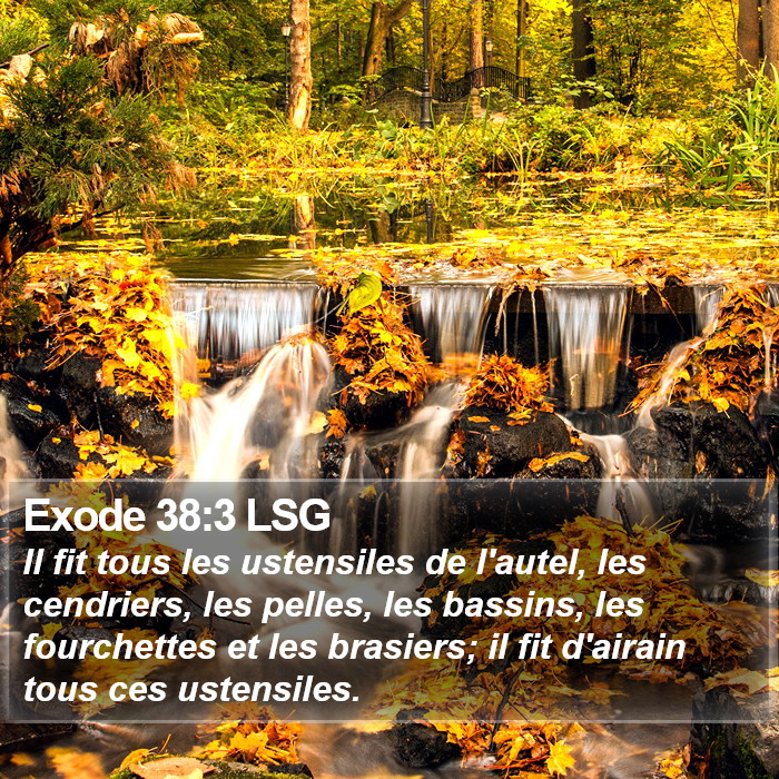 Exode 38:3 LSG Bible Study