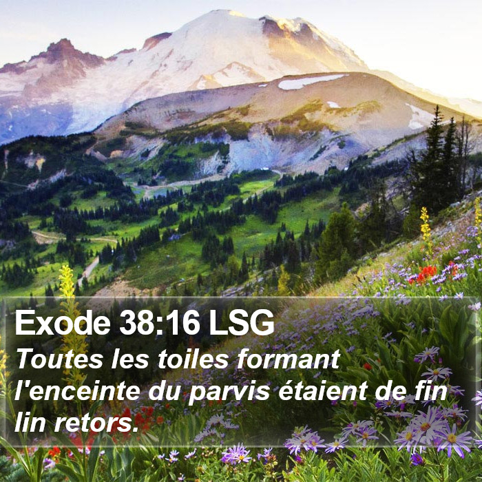 Exode 38:16 LSG Bible Study