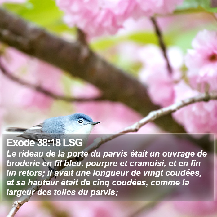 Exode 38:18 LSG Bible Study