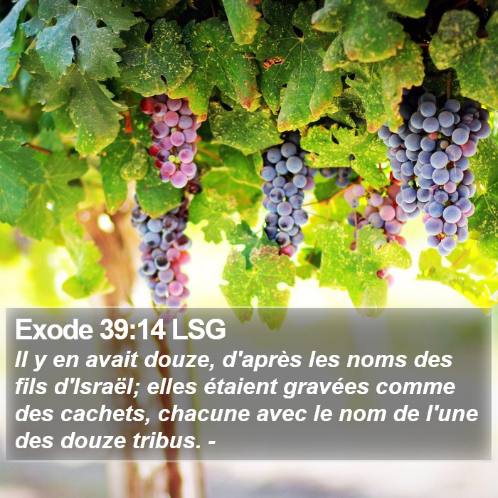 Exode 39:14 LSG Bible Study