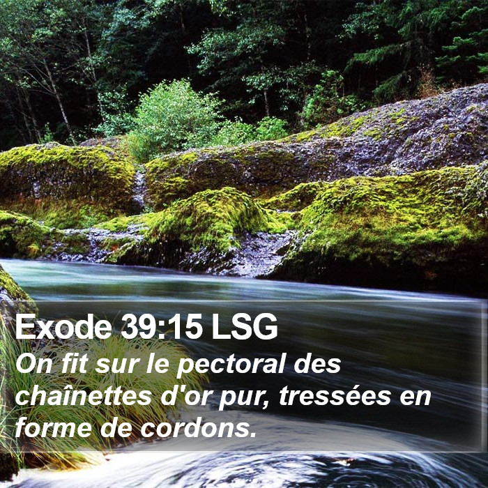 Exode 39:15 LSG Bible Study