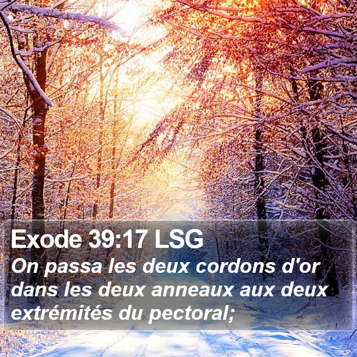 Exode 39:17 LSG Bible Study