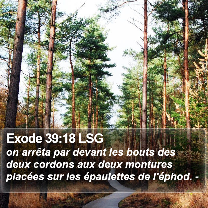 Exode 39:18 LSG Bible Study