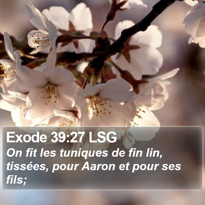 Exode 39:27 LSG Bible Study