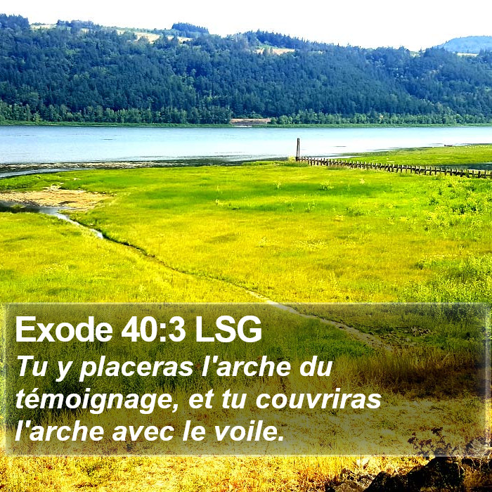 Exode 40:3 LSG Bible Study
