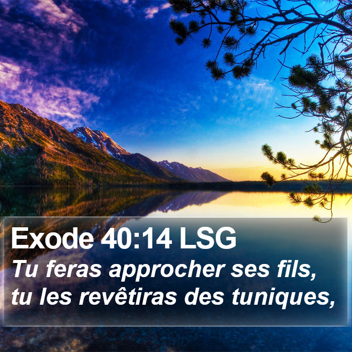 Exode 40:14 LSG Bible Study