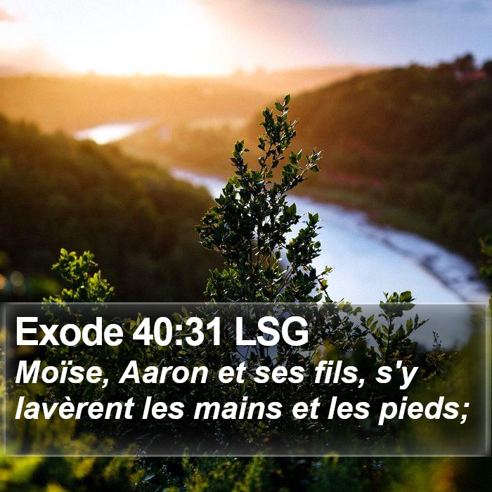Exode 40:31 LSG Bible Study