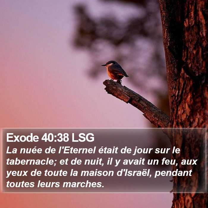 Exode 40:38 LSG Bible Study