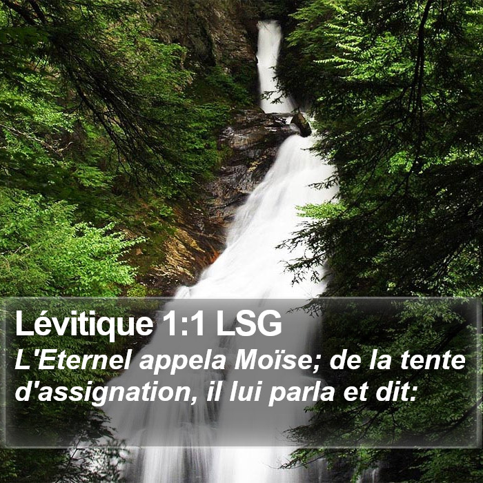 Lévitique 1:1 LSG Bible Study