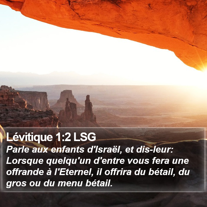 Lévitique 1:2 LSG Bible Study