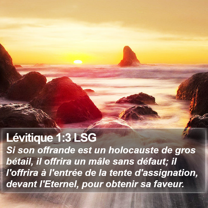 Lévitique 1:3 LSG Bible Study