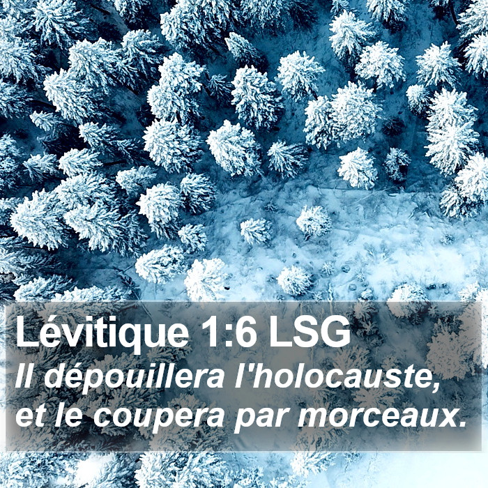 Lévitique 1:6 LSG Bible Study