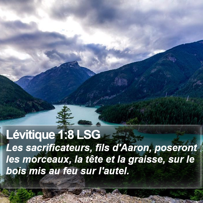 Lévitique 1:8 LSG Bible Study