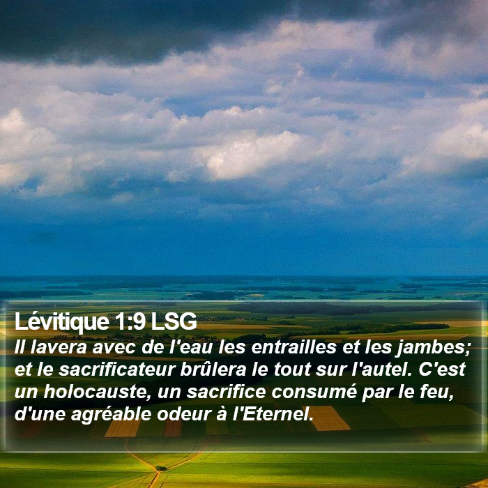 Lévitique 1:9 LSG Bible Study