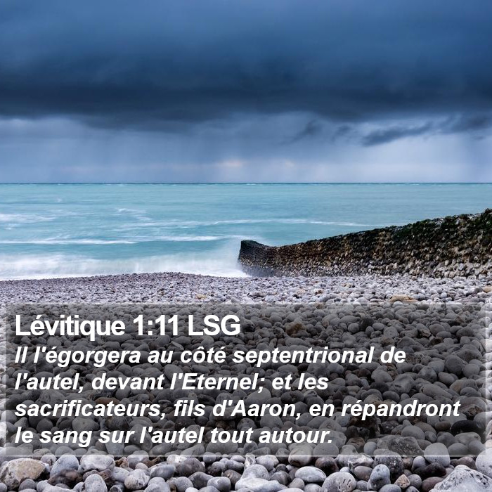 Lévitique 1:11 LSG Bible Study