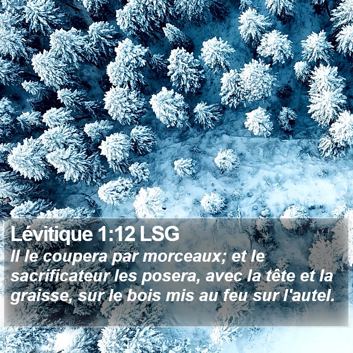 Lévitique 1:12 LSG Bible Study