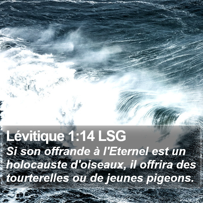 Lévitique 1:14 LSG Bible Study